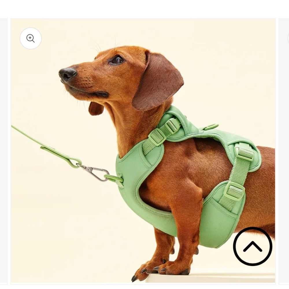 Lavender Dog Harness Only